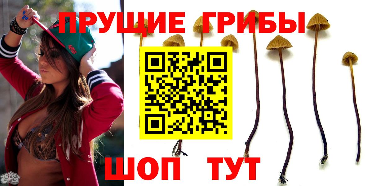 Псилоцибиновые грибы мухоморы  Вход с VPN  Междуреченск 
